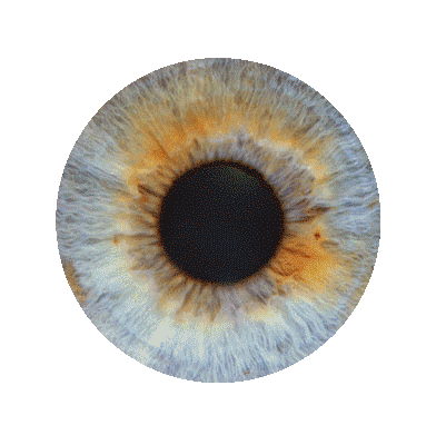 dort_wo_ich_nie_war Icon